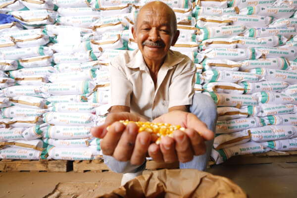 Governo do Ceará isenta agricultores de 136 municípios do reembolso das sementes e mudas referente às safras 2022/2023