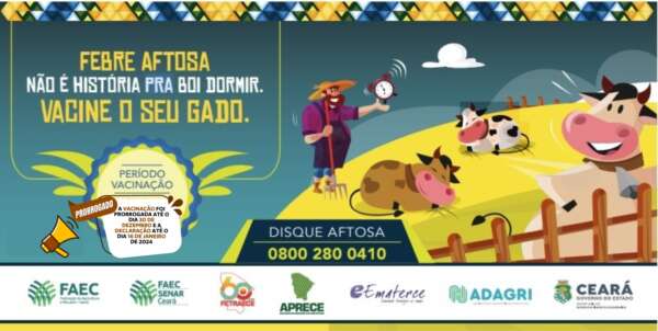 Campanha contra a Febre Aftosa atingiu mais de 80% do rebanho vacinado