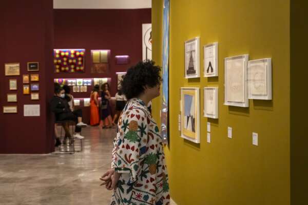 Pinacoteca do Ceará destaca aula aberta com curador Diego Matos na programação semanal