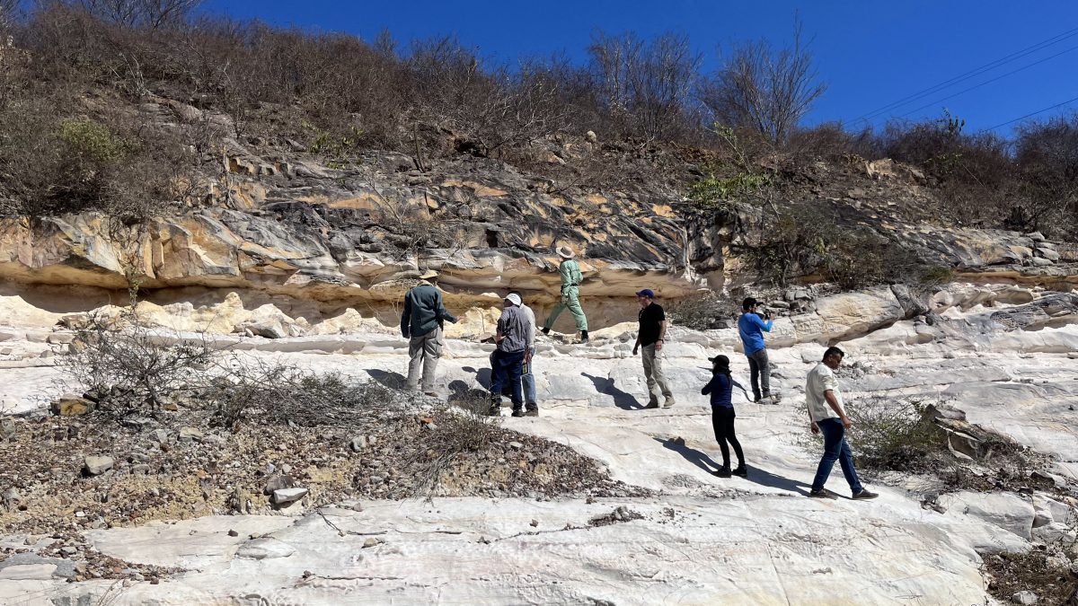 Gestores da Cogerh e consultores do Banco Mundial realizam inspeção na barragem Jaburu I, em Ubajara