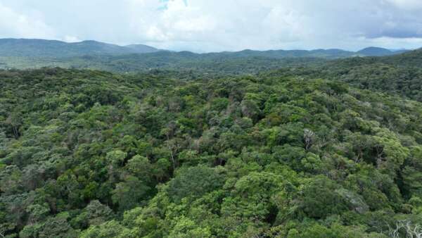 Em 2023, Governo do Ceará reconhece mais quatro Reservas Particulares do Patrimônio Natural