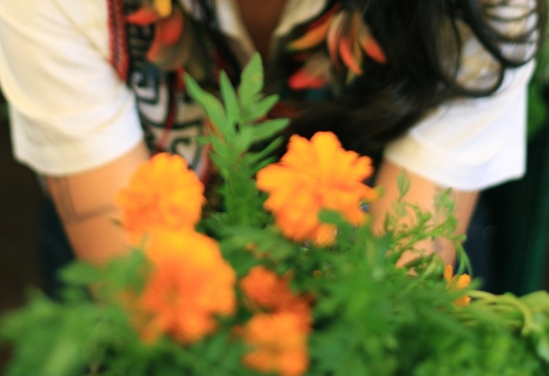 Escola de Gastronomia Social promove curso online e gratuito sobre alimentação indígena