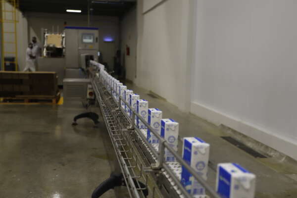 Governo do Ceará vai isentar ICMS de derivados de leite produzidos no estado