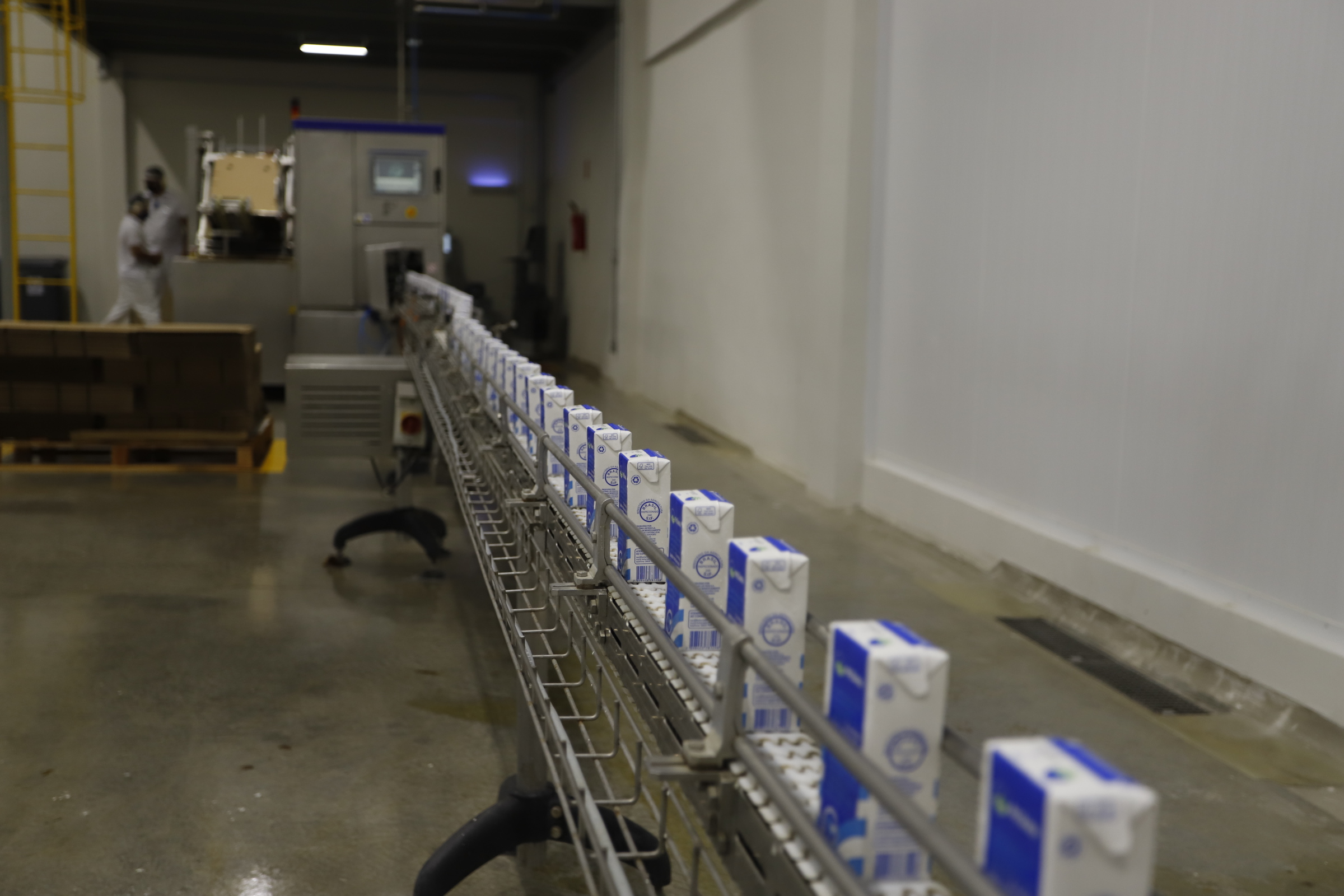 Governo do Ceará vai isentar ICMS de derivados de leite produzidos no estado