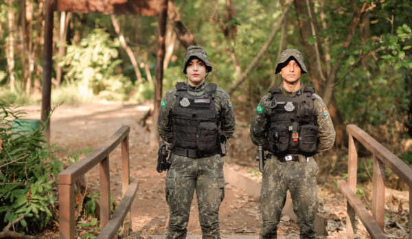 No Ceará, mais de 4 mil animais foram resgatados pela PMCE em 2023