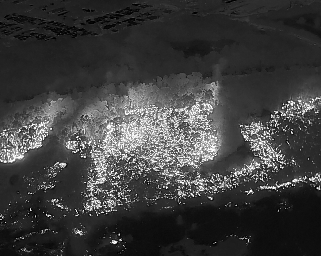 Programa Cientista Chefe, da Funcap, está colaborando no combate ao fogo do Cocó