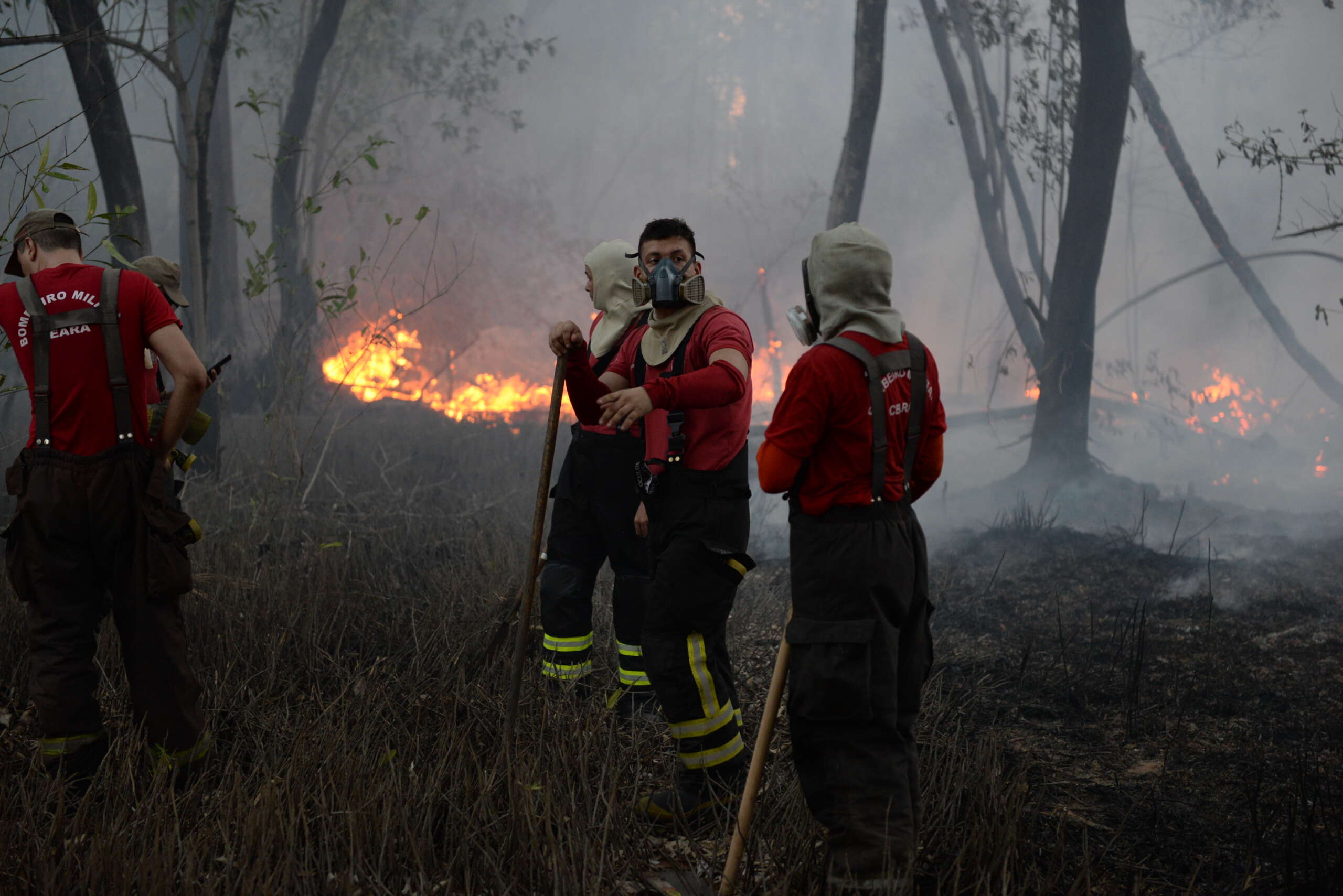 CBMCE atua ininterruptamente em combate a incêndio no Parque do Cocó