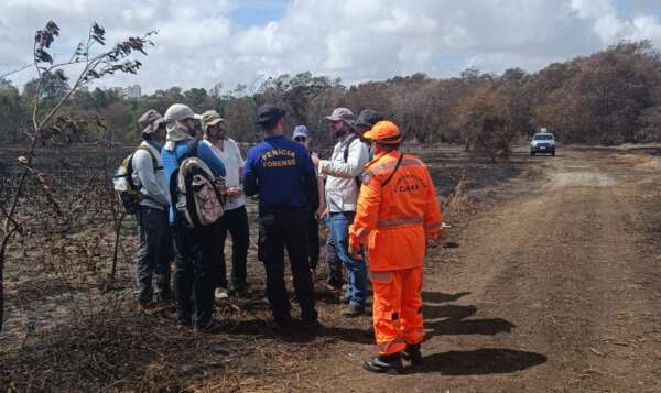 Equipes do Corpo de Bombeiros seguem monitorando o Parque Estadual do Cocó