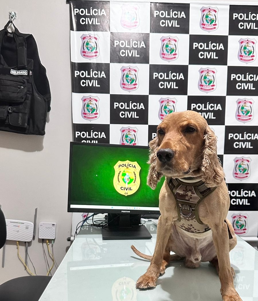 Com ajuda de cão farejador, PCCE cumpre mandado e apreende entorpecentes em Senador Pompeu
