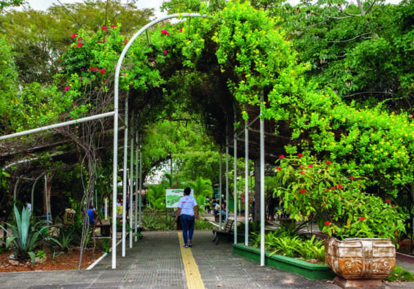 Parque Botânico recebeu quase 45 mil visitantes em 2023
