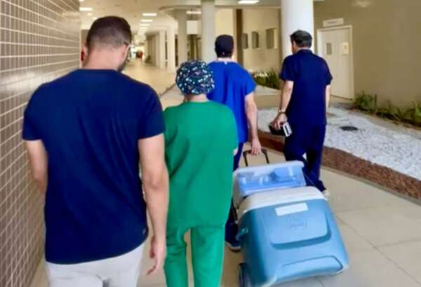 Protocolo de morte encefálica: entenda procedimento que é ponto inicial na captação e doação de órgãos