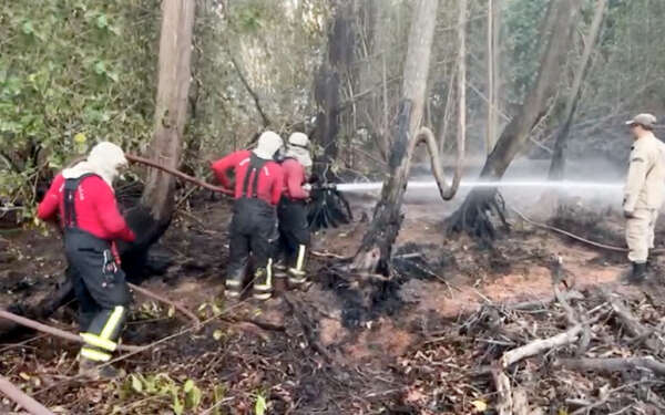 CBMCE segue pelo terceiro dia de trabalhos ininterruptos de combate a incêndio no Parque do Cocó