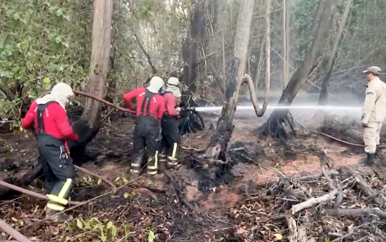 CBMCE segue pelo terceiro dia de trabalhos ininterruptos de combate a incêndio no Parque do Cocó