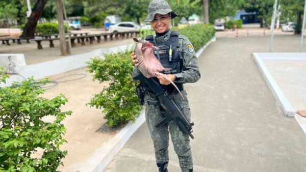 PMCE resgata tatu em estabelecimento comercial no município de Juazeiro do Norte