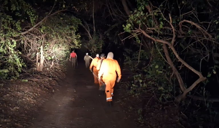 Governador Elmano de Freitas e CBMCE confirmam que incêndio no Parque Estadual do Cocó está controlado