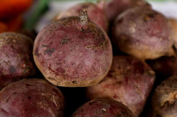 Beterraba extra a R$ 5,50/kg na Ceasa em Maracanaú