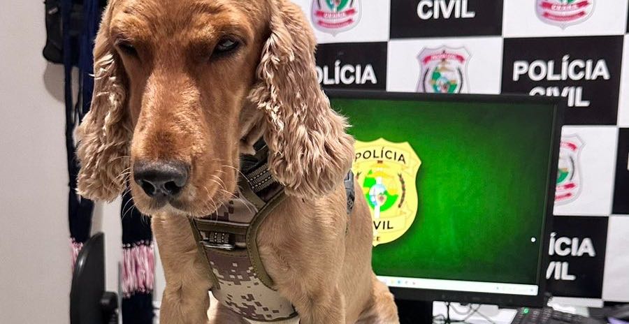 Com apoio de cão farejador, Polícia Civil apreende crack em Senador Pompeu