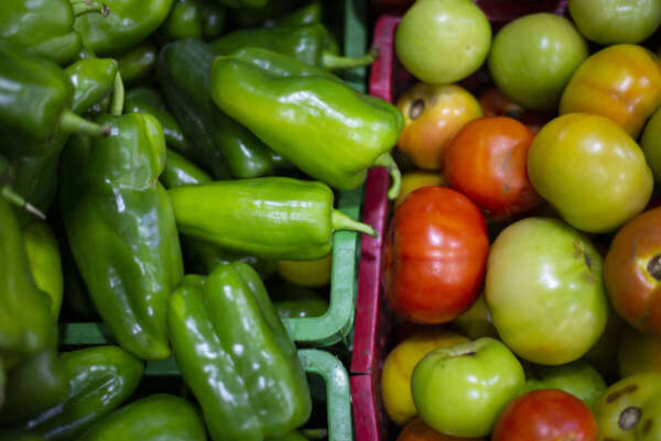 IPCE registra queda, no acumulado anual, de 24,10% no setor Hortaliças Fruto