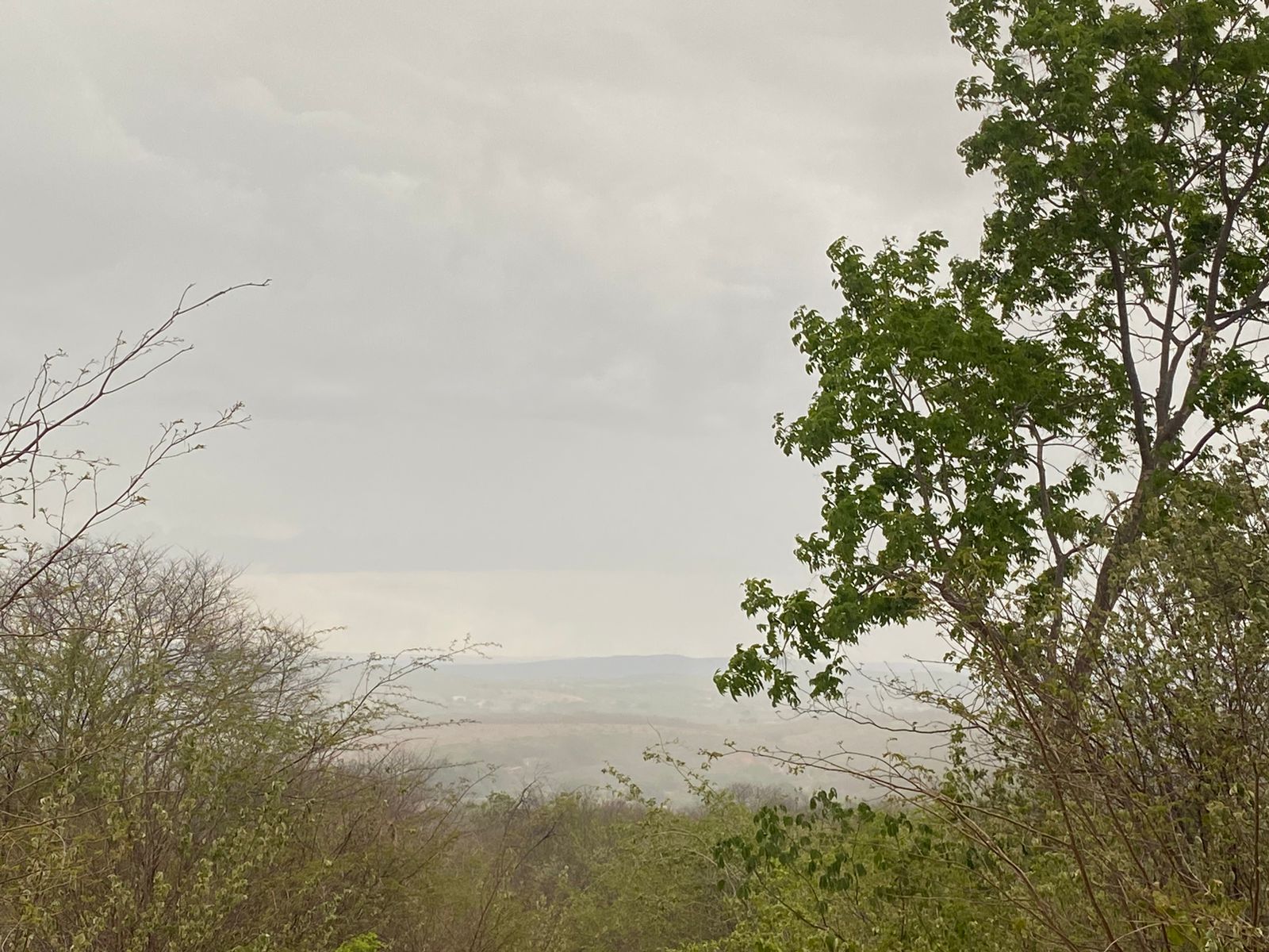 Ceará chega ao 5º dia consecutivo com chuvas em todas as regiões
