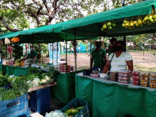 98ª edição da Feira Agroecológica terá pré-carnaval neste sábado, no Parque do Cocó