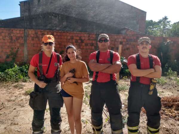 Filhote de gato é resgatado de fossa e ganha novo lar em Maracanaú