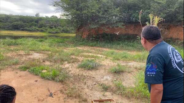 Animais silvestres são soltos no sul do estado em parceria da Semace e Ibama