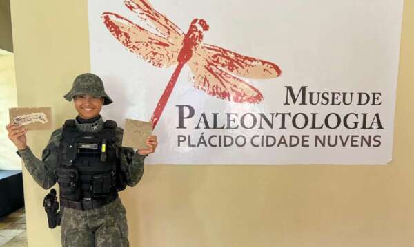 Polícia Militar recolhe 13 fósseis durante fiscalizações em pedreiras nos municípios de Nova Olinda e Santana do Cariri