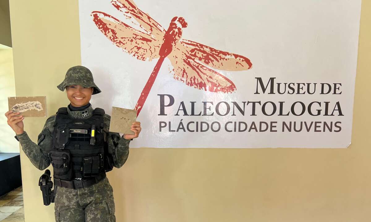 Polícia Militar recolhe 13 fósseis durante fiscalizações em pedreiras nos municípios de Nova Olinda e Santana do Cariri