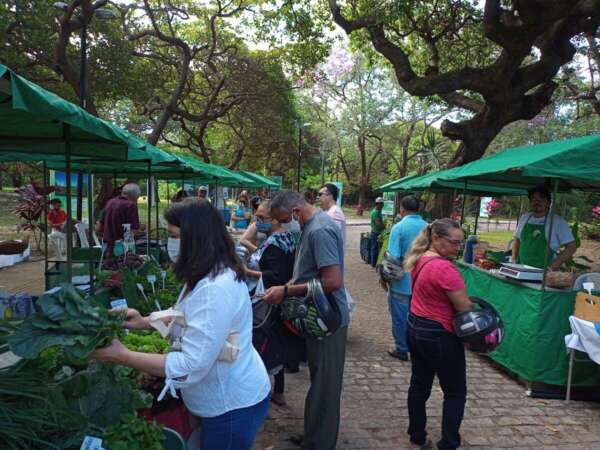 Neste sábado (17), a Feira Agroecológica no Parque celebra sua 100ª edição