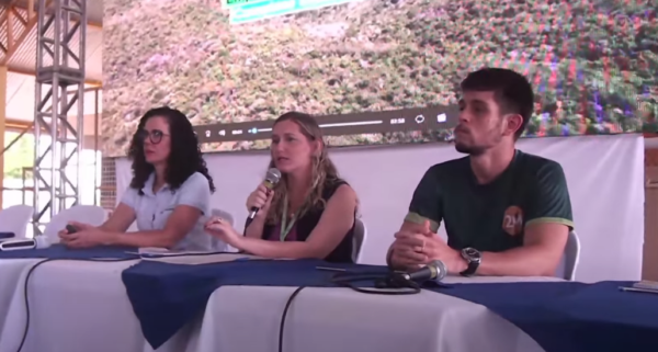 Audiência pública presidida pela Semace apresentou estudos sobre Complexo Eólico