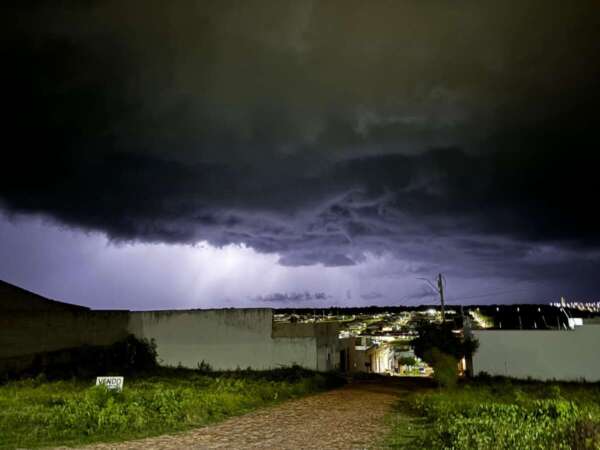 Calor e período chuvoso aumentam riscos de proliferação de mosquito transmissor da dengue; conheça os sintomas e saiba como se proteger