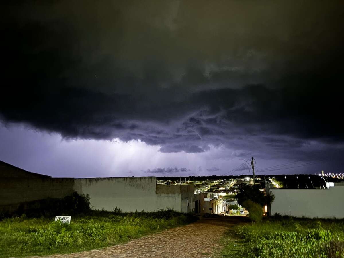 Calor e período chuvoso aumentam riscos de proliferação de mosquito transmissor da dengue; conheça os sintomas e saiba como se proteger