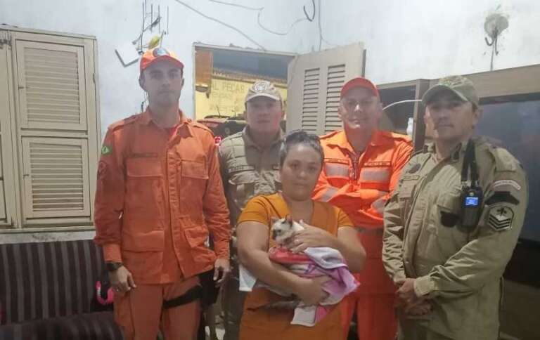 CBMCE resgata gato que caiu em cacimba de oito metros em Caucaia