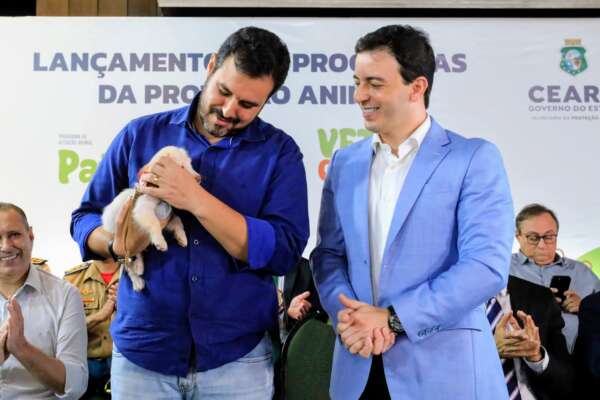 PataCeará e Vet+Ceará: editais asseguram R$ 5 milhões para ações de proteção animal no estado