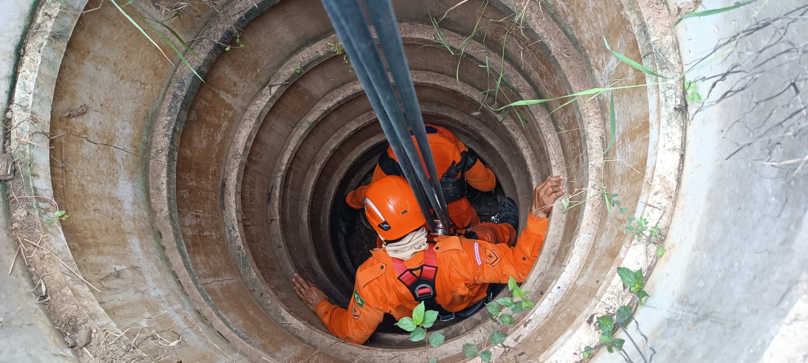 CBMCE resgata vaca de 150 quilos que caiu em cacimba com 10 metros de profundidade em Limoeiro do Norte