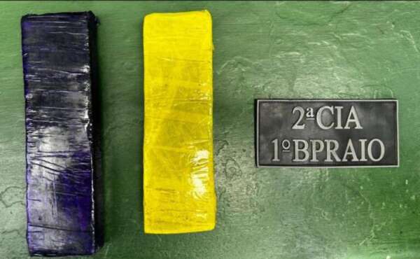 Polícia Militar apreende 1,27 kg de maconha em terreno baldio no Vila Velha