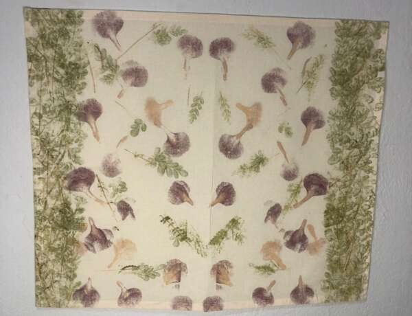 Museu de Arte Contemporânea do Ceará abre três exposições gratuitas neste sábado (9)