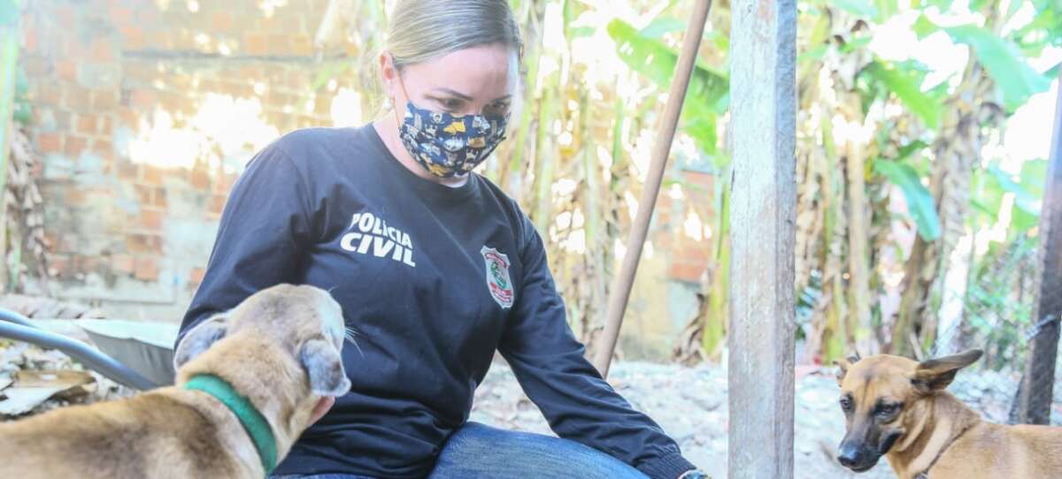 Dia Nacional dos Animais: Forças de Segurança do Ceará atuam em situações de risco e resgate de animais