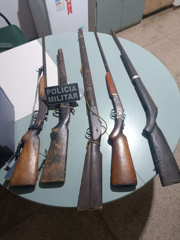 PMCE apreende cinco armas de fogo em Caririaçu