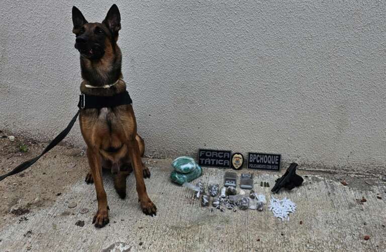 PMCE prende dupla com pistola e drogas escondidas em pocilga em Caucaia