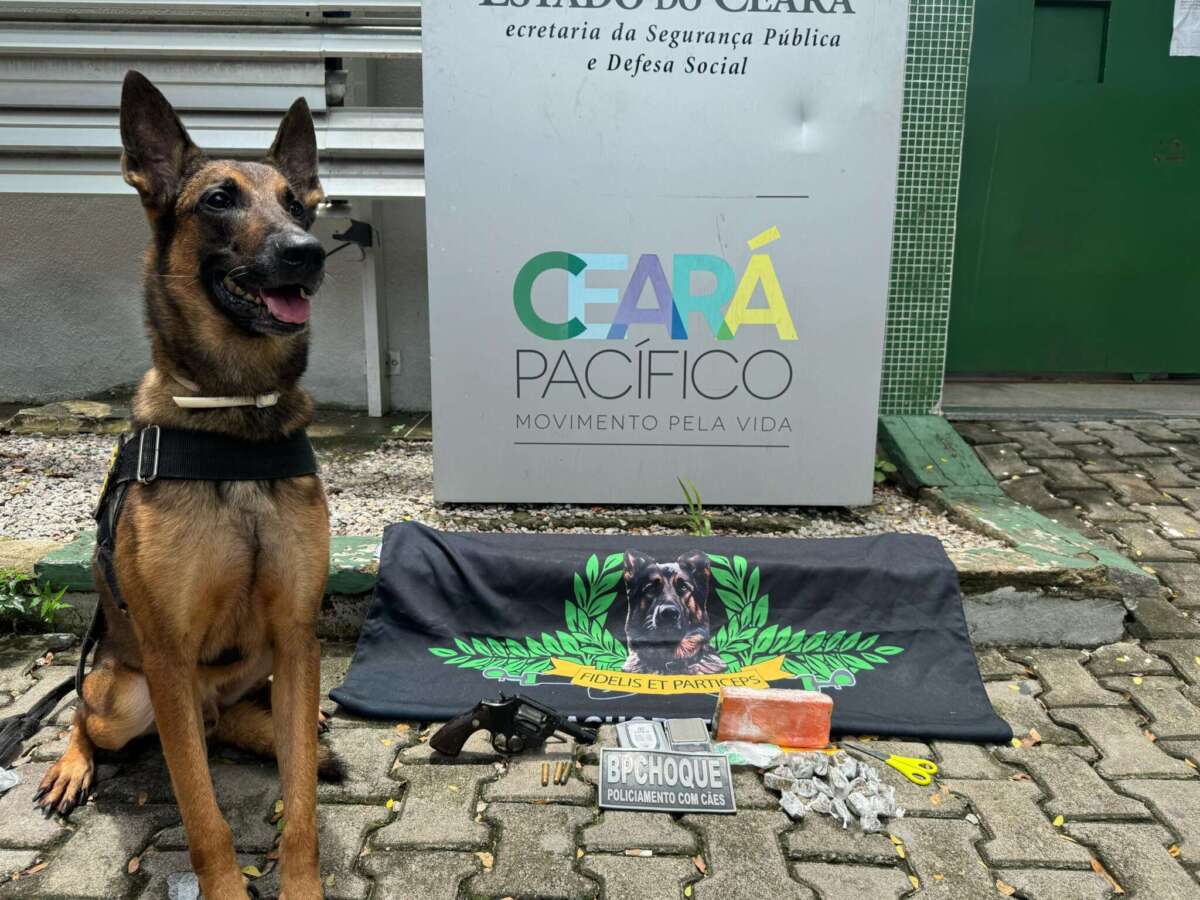 Com o auxílio de cão farejador, PMCE apreende revólver e drogas no Genibaú