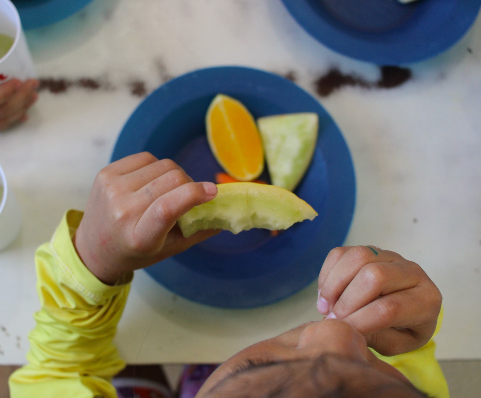 No Ceará, 55 municípios já aderiram ao Sistema Nacional de Segurança Alimentar e Nutricional