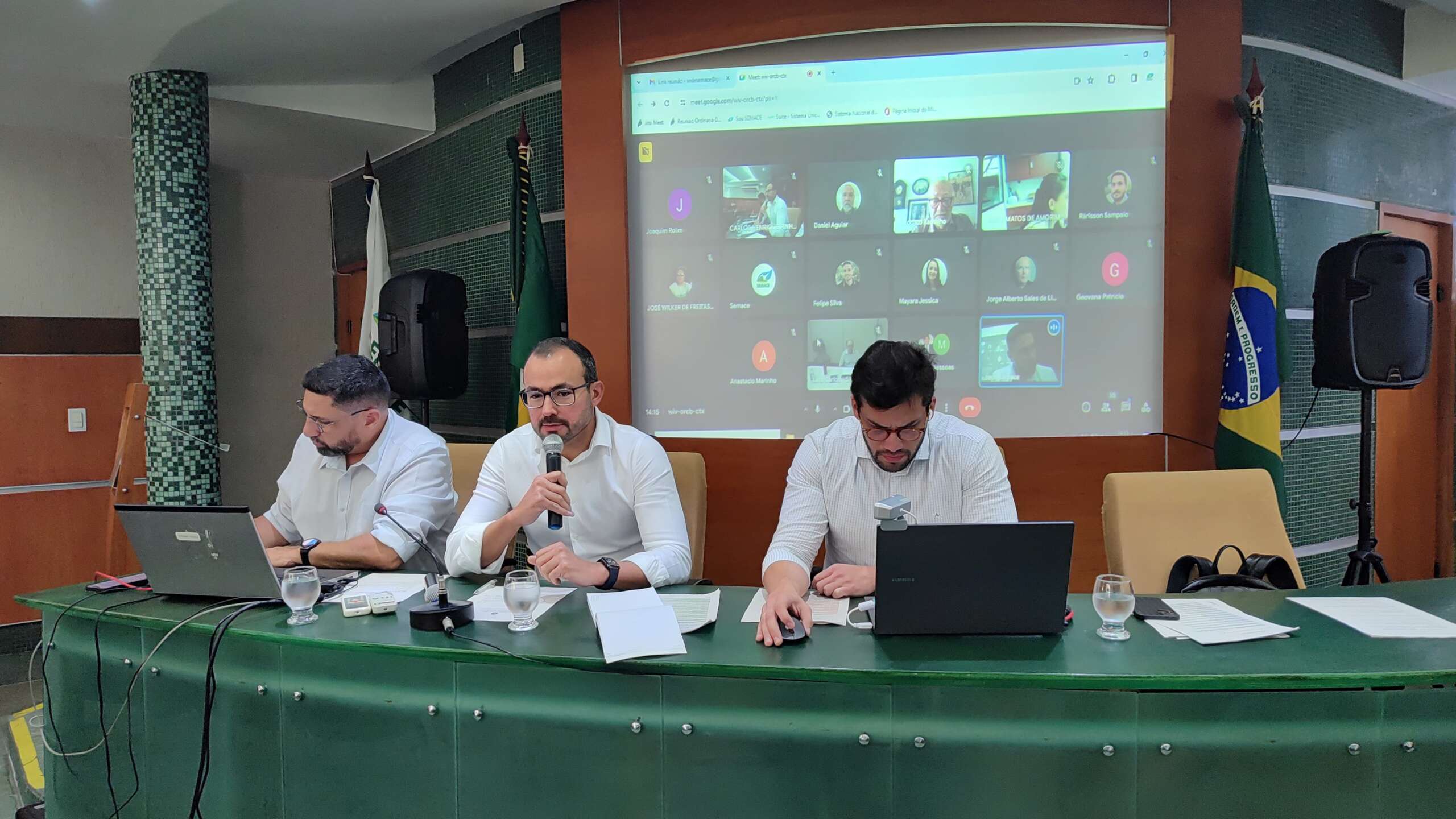 Coema aprova empreendimentos de energia renovável e carcinicultura