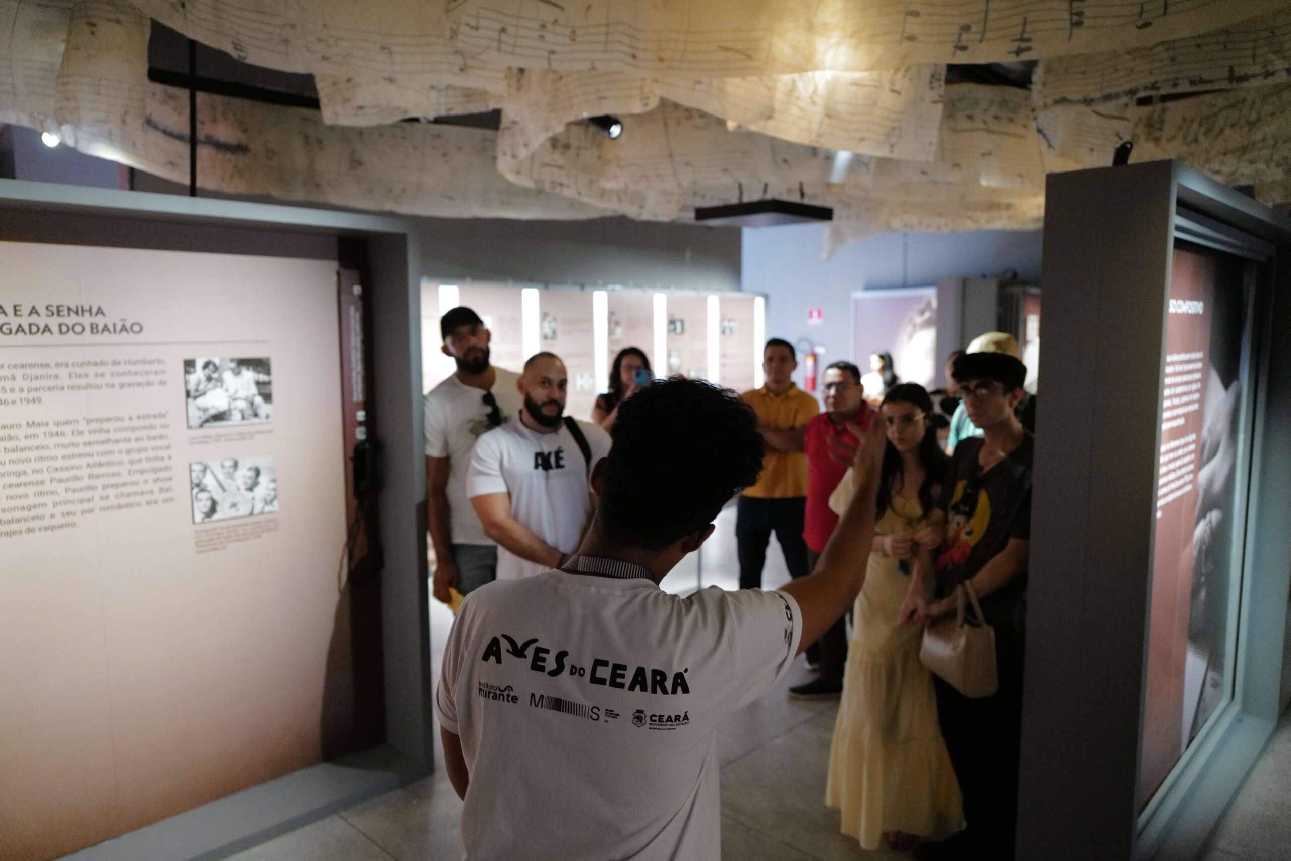 Museu da Imagem e do Som do Ceará realiza webinário sobre mediação cultural