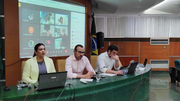 Coema discute estudos ambientais sobre projetos de energia renovável e carcinicultura