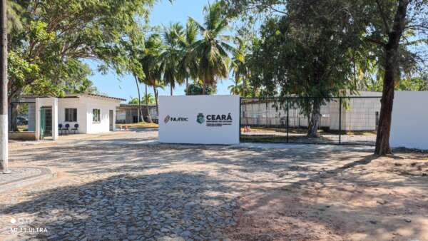 Nutec seleciona bolsistas para pesquisa com foco na transferência de tecnologia