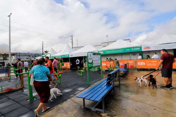 Pet Ceará Móvel, entregue nesta sexta (3), oferece serviços veterinários de forma gratuita