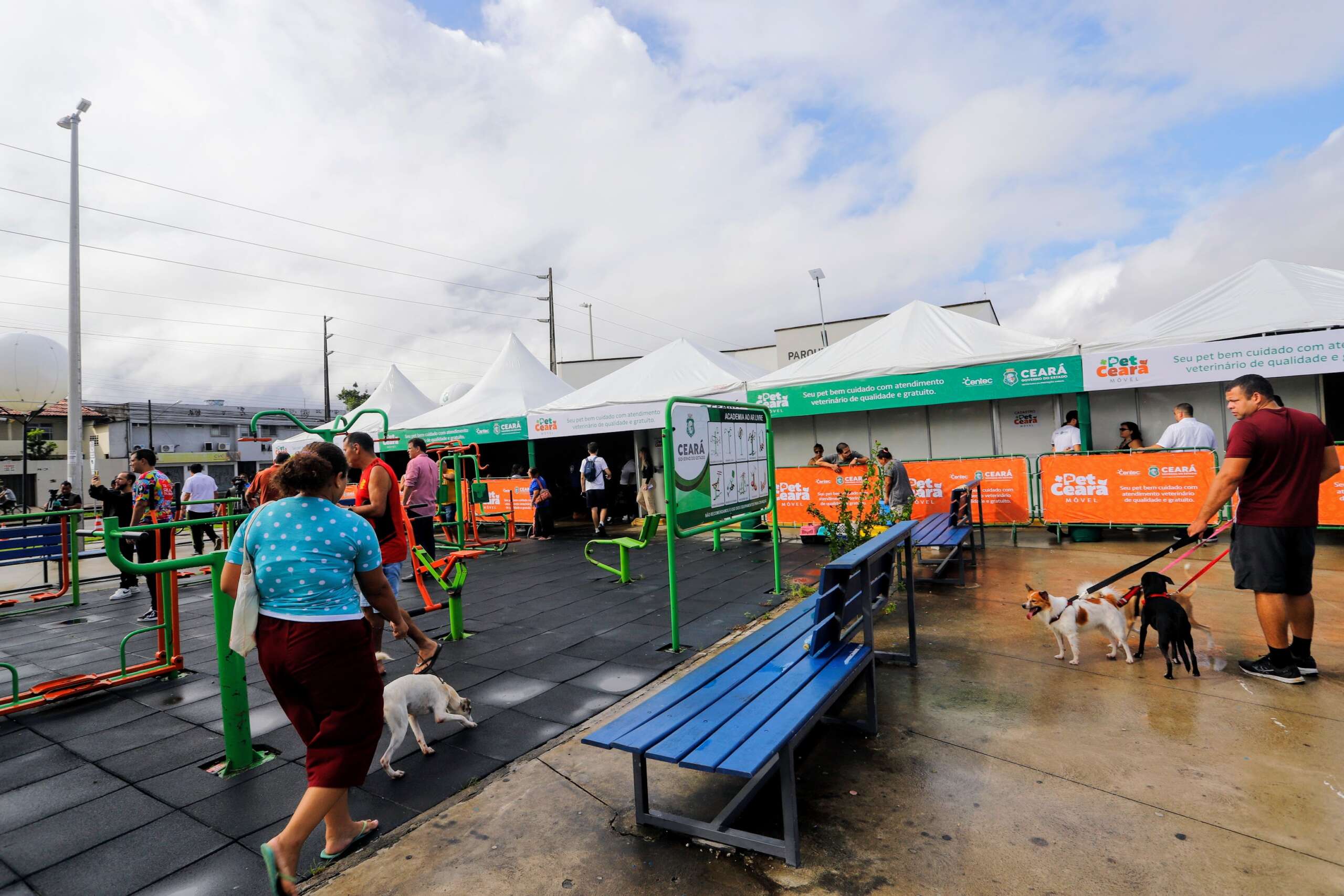 Pet Ceará Móvel, entregue nesta sexta (3), oferece serviços veterinários de forma gratuita