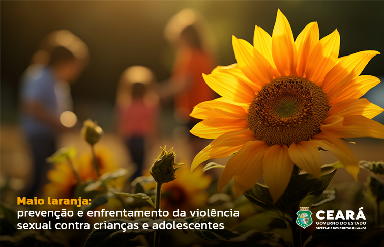 Secretaria dos Direitos Humanos reforça a importância da prevenção e do enfrentamento à violência sexual contra crianças e adolescentes