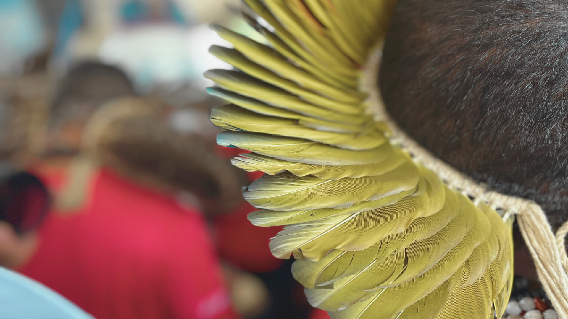 Sepince e Defensoria Pública realizam audiência pública sobre disputa territorial entre Ceará e Piauí